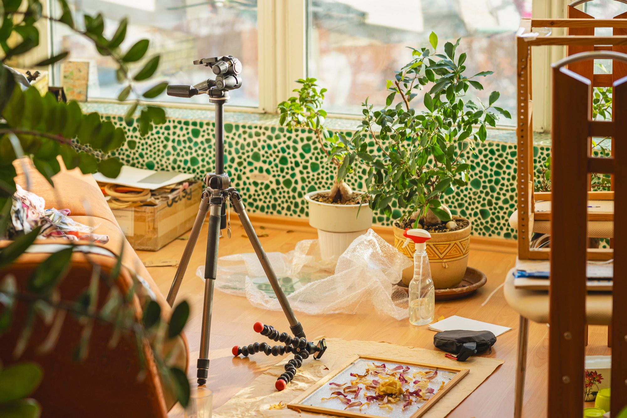 Tripods, packing material, frames, furniture, and houseplants fill a room prepared for an on-location photo shoot