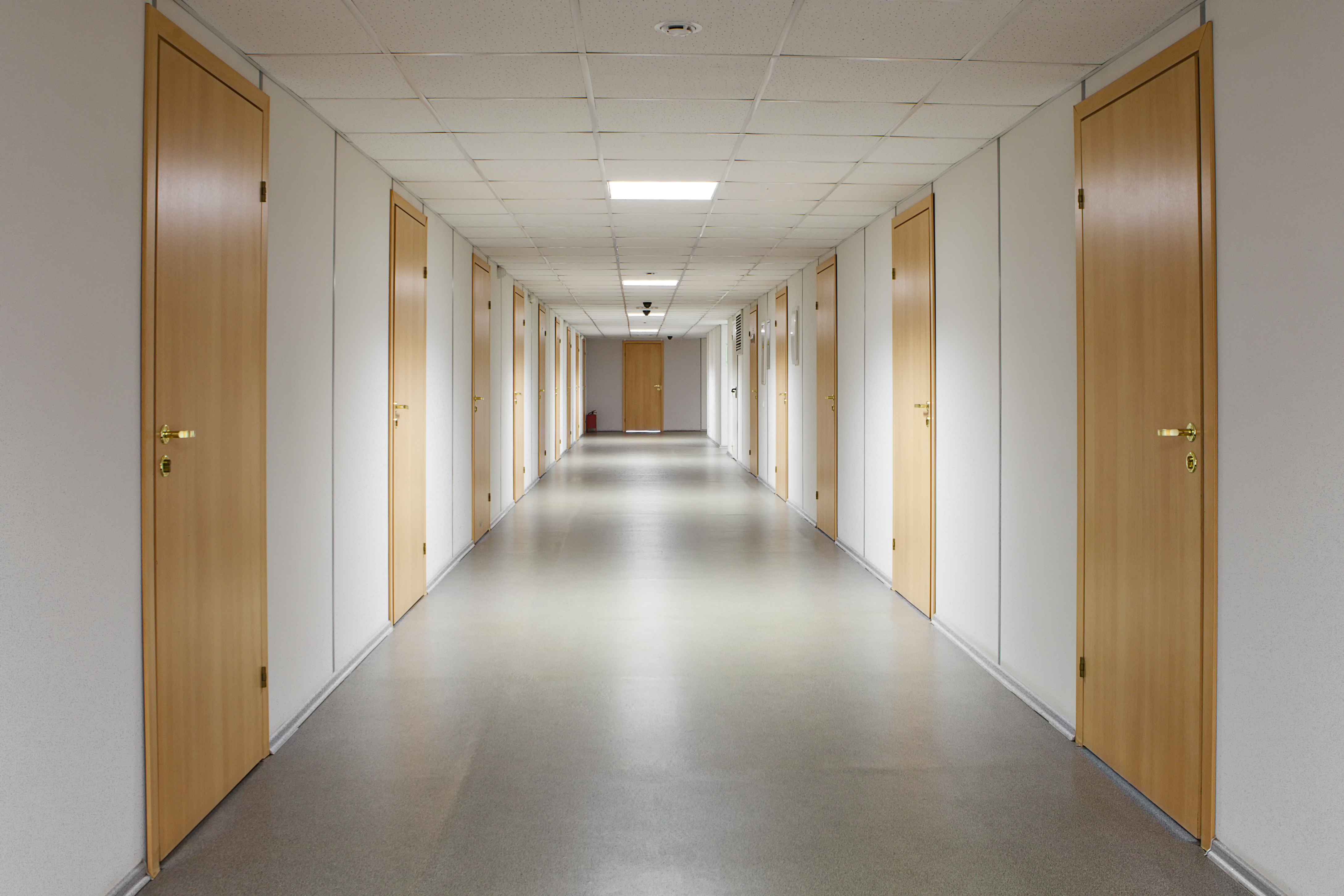An empty office hallway lined with many identical wooden doors